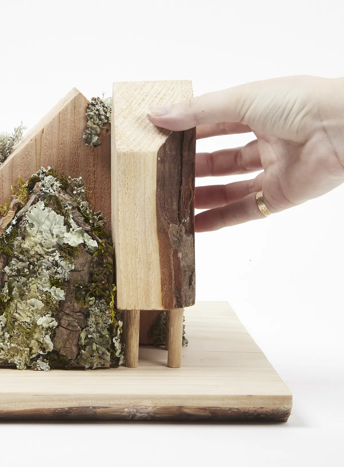 Lichen as bioindicators

Lichen Vs Carbon. These concept models look to document both the current state of Dudley Highstreet and the vision looking towards the future within this thesis project.

The lichen covered model looks towards a future in Dudley that is rich in texture, colour, nature and oxygen. Natural materials promote natural growth, and textures such as rough sawn timber and stone are the prefect hosts for lichen. All new buildings in Dudley would benefit massively from following a fabric first approach and adopt the use of sustainable and recycled building materials along with systems that use minimal energy.

The lichen model represents a vision for this thesis, buildings that are covered in natural materials and lichens that help sequester carbon and promote a healthier Highstreet. Suggestions of raised buildings also proposes less disruption to the ground and natural landscape, giving plants and animals the opportunity to thrive in an otherwise hostile concrete environment. Raised buildings also look towards a future planet with rising sea levels, future factors that will drastically affect the way we carry out daily lives and futureproofing all buildings for generations to come.

This second model uses the Shou Sugi Ban method of charring timber to waterproof it. In this case however it represents the embodied carbon and pollution within the highstreet as it exists now. The simplicity and repetition is also used to symbolise the plain nature of the highstreet with only a few materials exhibited, mainly brick & concrete. Once burnt the timber forms were brushed with wire wool to reveal the natural grain of the wood, a visual representation of degradation of layers of buildings that are built poorly or not constructed to last longer than a generation. - Michelle Gartside Model 2.png